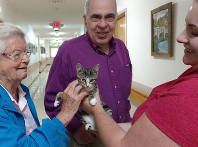Residents interacting with a kitten in a hallway