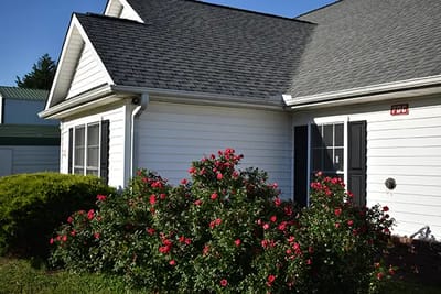 Exterior view of a facility with rose bushes