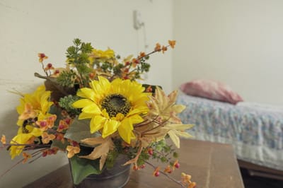 Sunflowers in a vase next to a bed