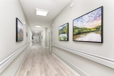 Brightly lit interior hallway with artwork