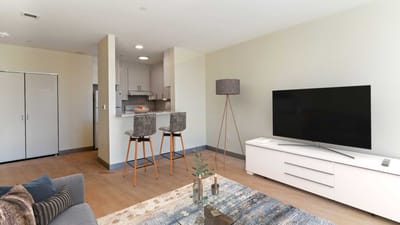 Bright living room with modern furnishings and a TV