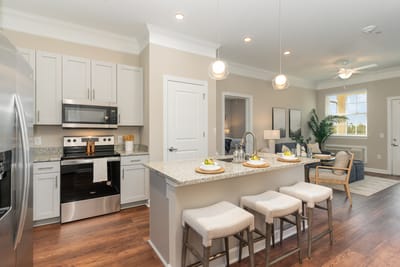 Modern kitchen in a senior living apartment