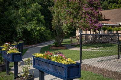 Outdoor garden area with colorful flower planters