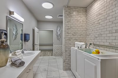 Well-lit bathroom with a walk-in tub and duck