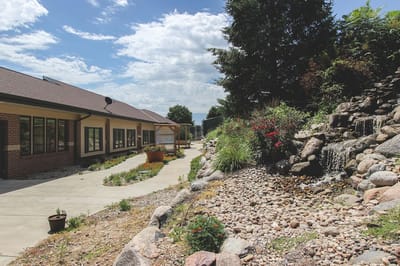 Pathway leading through a landscaped garden with water feature