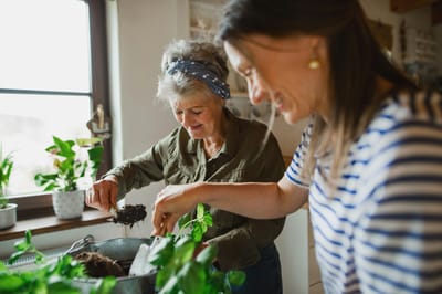 Residents engaging in gardening activities indoors