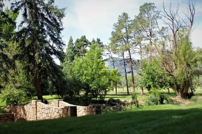 Lush outdoor area with trees and stone structure