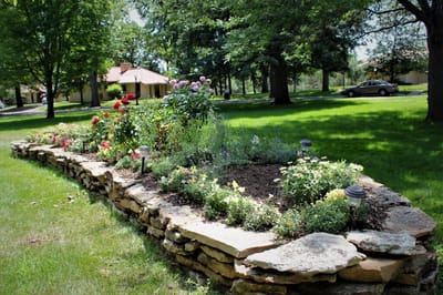 Flower bed in a landscaped outdoor area