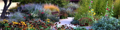 Lively garden area with various flowers and benches.