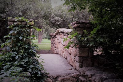 Stone bridge surrounded by greenery