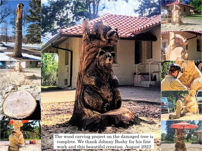Wood carving of a bear in an outdoor space.