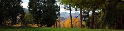 Lush outdoor space with trees and mountains