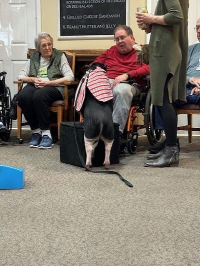 Residents interacting with a dog during an activity