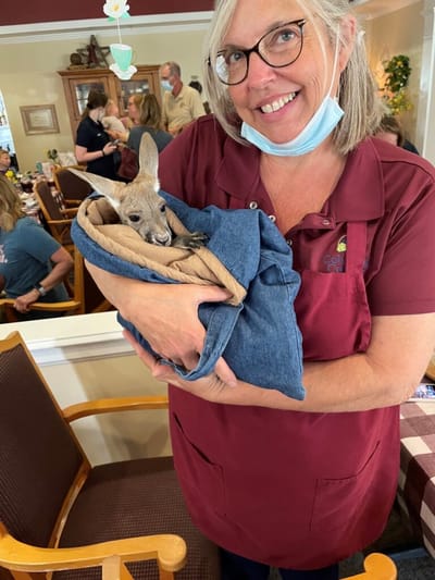 Staff member holding a baby kangaroo indoors