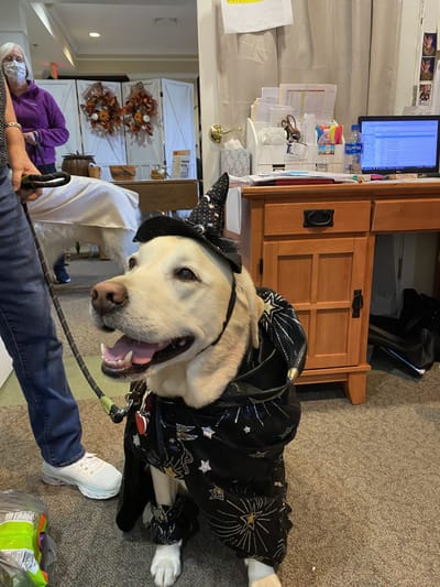 A dog in costume with residents and staff in background.
