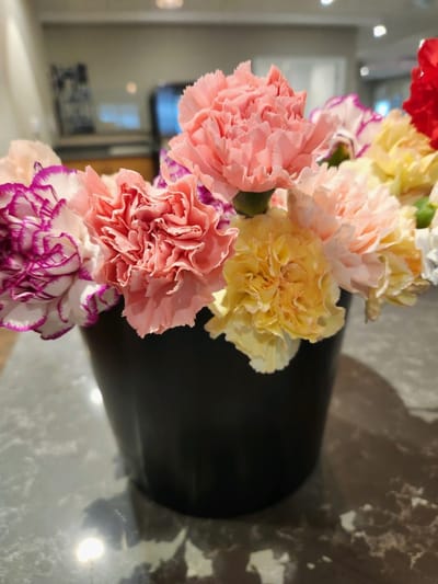 Colorful flower arrangement in a pot.