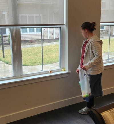 Child observing colorful eggs by the window