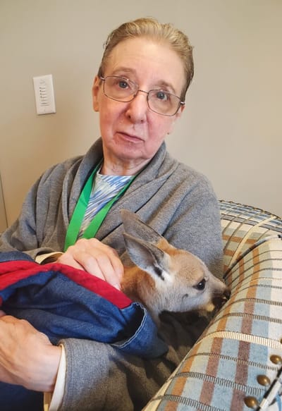 Senior resident holding a kangaroo.
