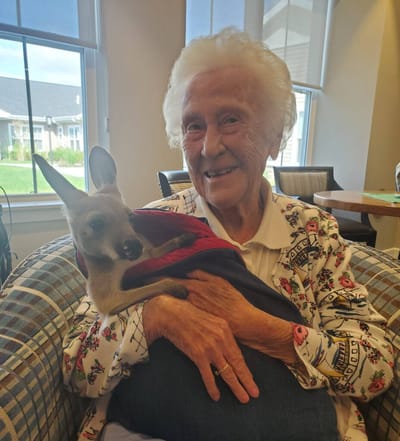 Senior woman cuddling a kangaroo in a cozy setting
