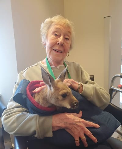 Elderly woman holding a kangaroo in a facility lounge.