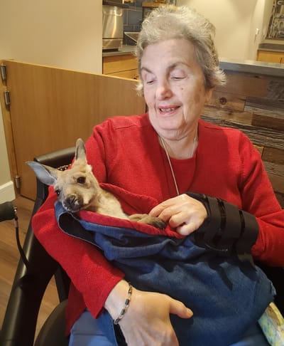 Resident holding a small kangaroo in a facility lounge