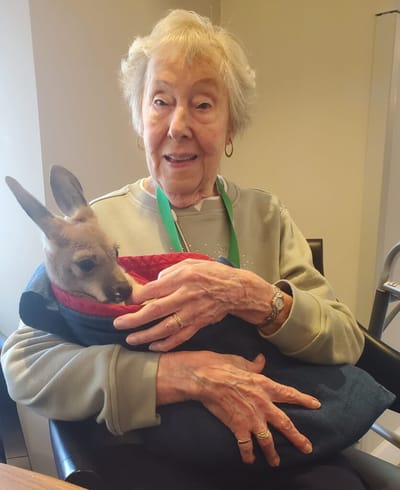 Elderly woman holding a kangaroo in a cozy setting.