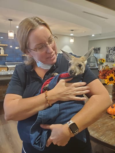 Staff member with a kangaroo at the facility