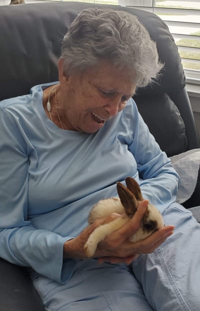 Senior woman joyfully holding a rabbit.