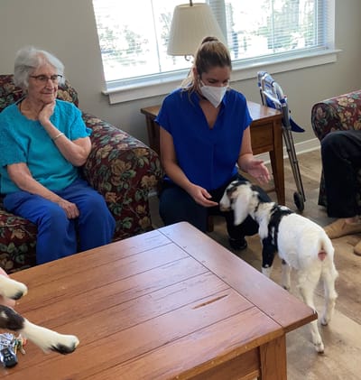 A staff member interacting with a goat and residents indoors.