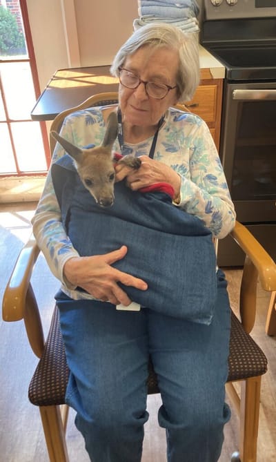 Resident holding a kangaroo in a cozy setting.