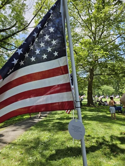 U.S. flag in a park setting with people in the background