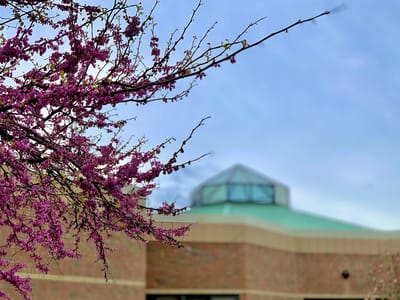 Blooming tree in front of facility building