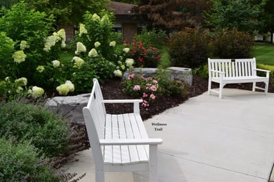 Benches and flowers along a wellness trail