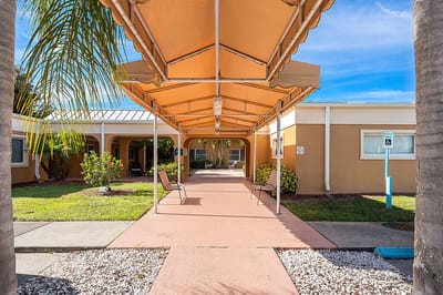 Pathway leading to the entrance with canopy cover