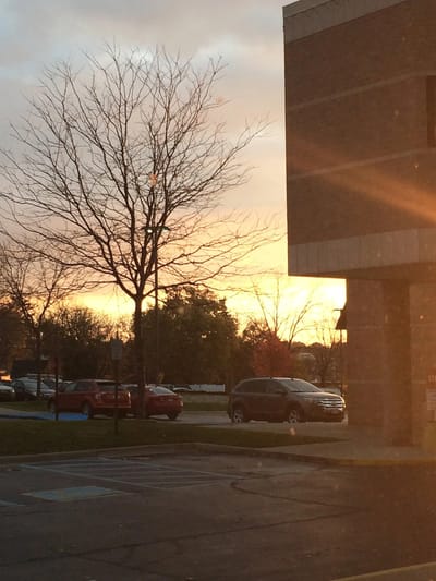 Sunset view with facility's exterior and tree.