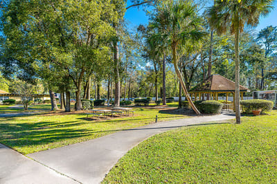 Scenic outdoor area with trees and a gazebo