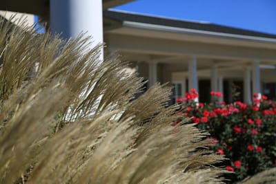 Beautiful landscaping with flowers in front of the facility