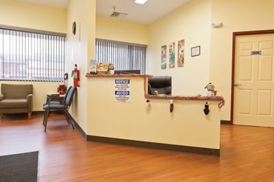 Reception area with decoration and seating
