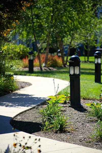 Pathway in a landscaped outdoor space with lighting