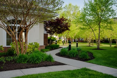 Pathway through landscaped outdoor area with trees