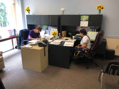 Staff members working at desks in an office