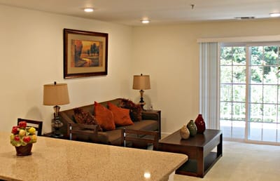Cozy interior living area with natural light