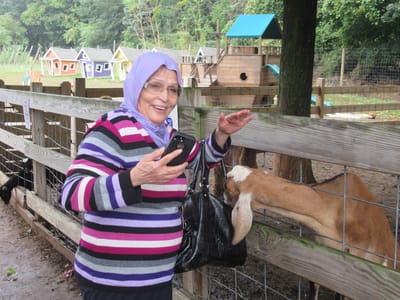 Senior woman interacting with a goat at an outdoor petting area