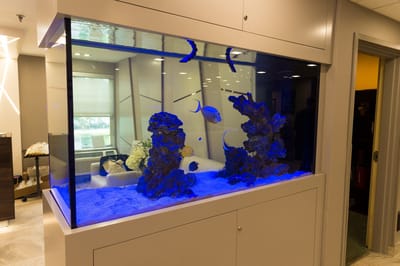 A large aquarium in a facility interior space