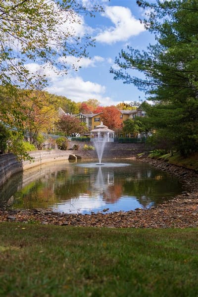 Scenic view of a pond with a fountain and colorful trees