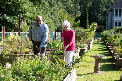 Residents gardening in an outdoor space