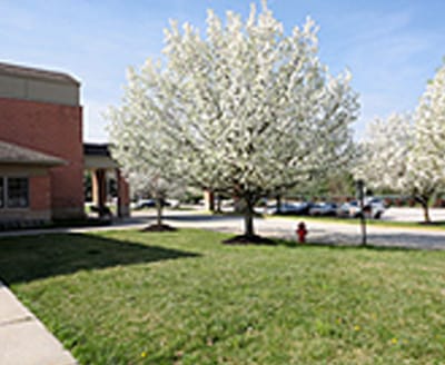 Outdoor view of the facility with flowering trees