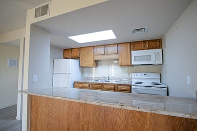 Modern kitchen interior with appliances and wood cabinetry