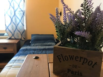 Cozy bedroom setting with a flowerpot decoration