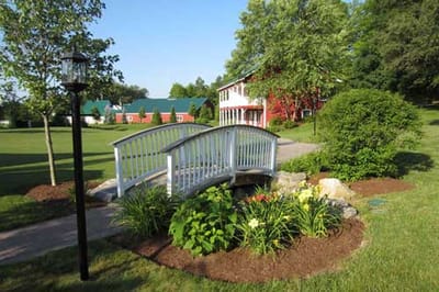 A decorative bridge and flowers in the facility's garden